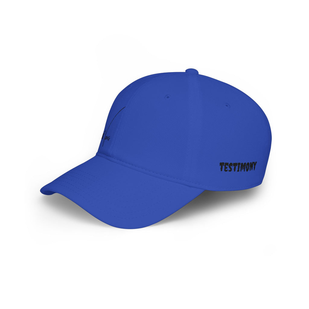SNL James script logo Low Profile Cap | embroidered baseball hat